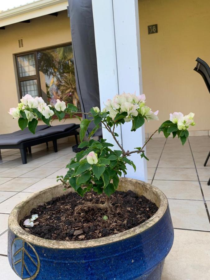 Sole'S Leap Villa Scottburgh Buitenkant foto