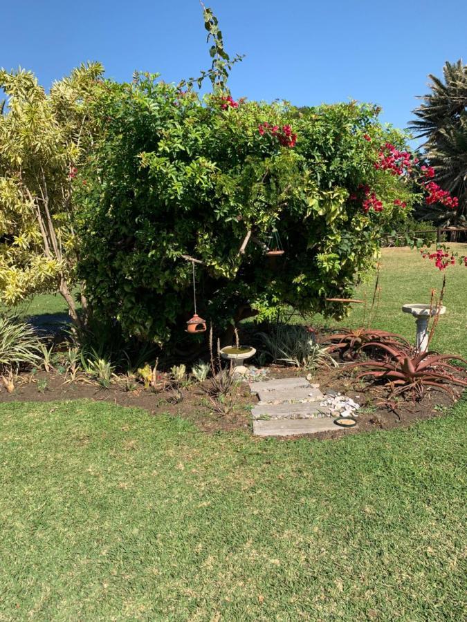 Sole'S Leap Villa Scottburgh Buitenkant foto